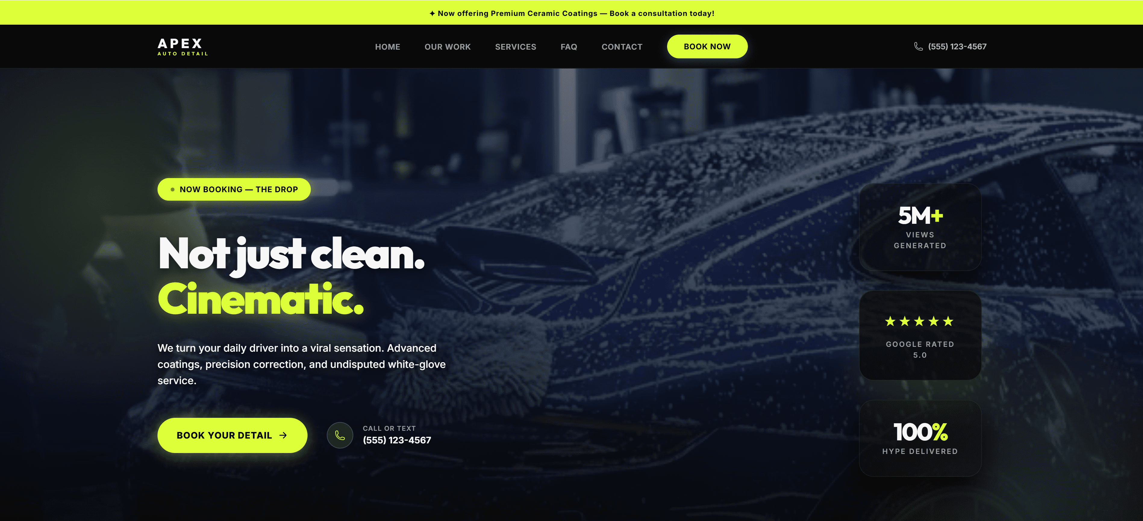 Auto Detailing demo screenshot